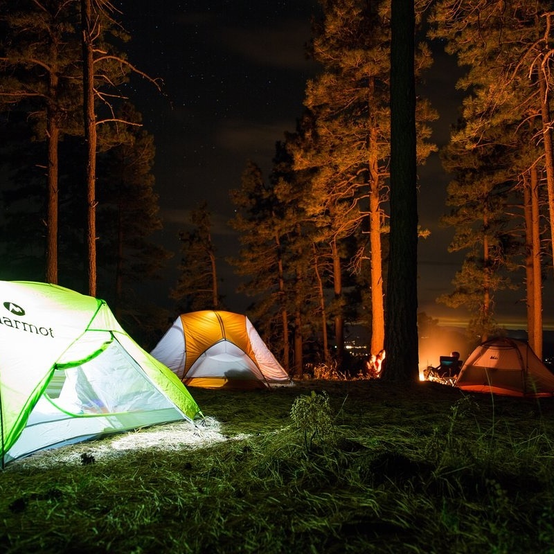 Go camping картинки