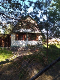 Guest house «Oblojnyiy moh» Leningrad oblast Gostevoy dom