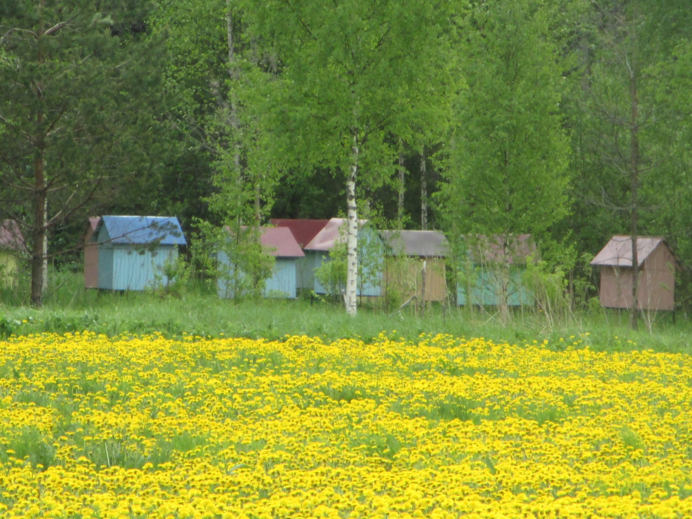  Экоферма «Серебрянка» Ленинградская область, фото 7