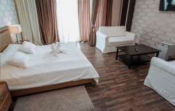 Hotel complex «Premer Otel» Nizhny Novgorod oblast Nomer «Studiya»