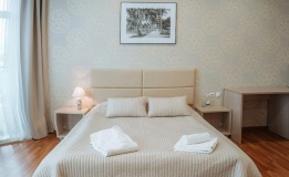 Hotel complex «Premer Otel» Nizhny Novgorod oblast Nomer «Standart double»