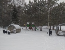 «Приозерский Страус»_1_desc