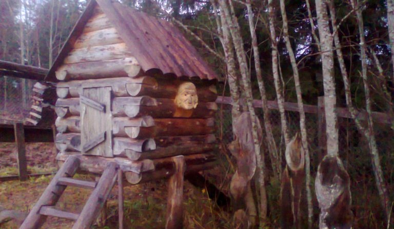 Гостевой дом «Алёшина изба» Архангельская область, фото 3
