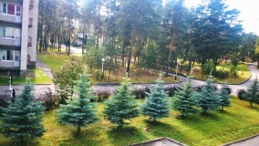 «Russkiy les»_13_desc