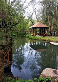 «Русский лес»_8_desc