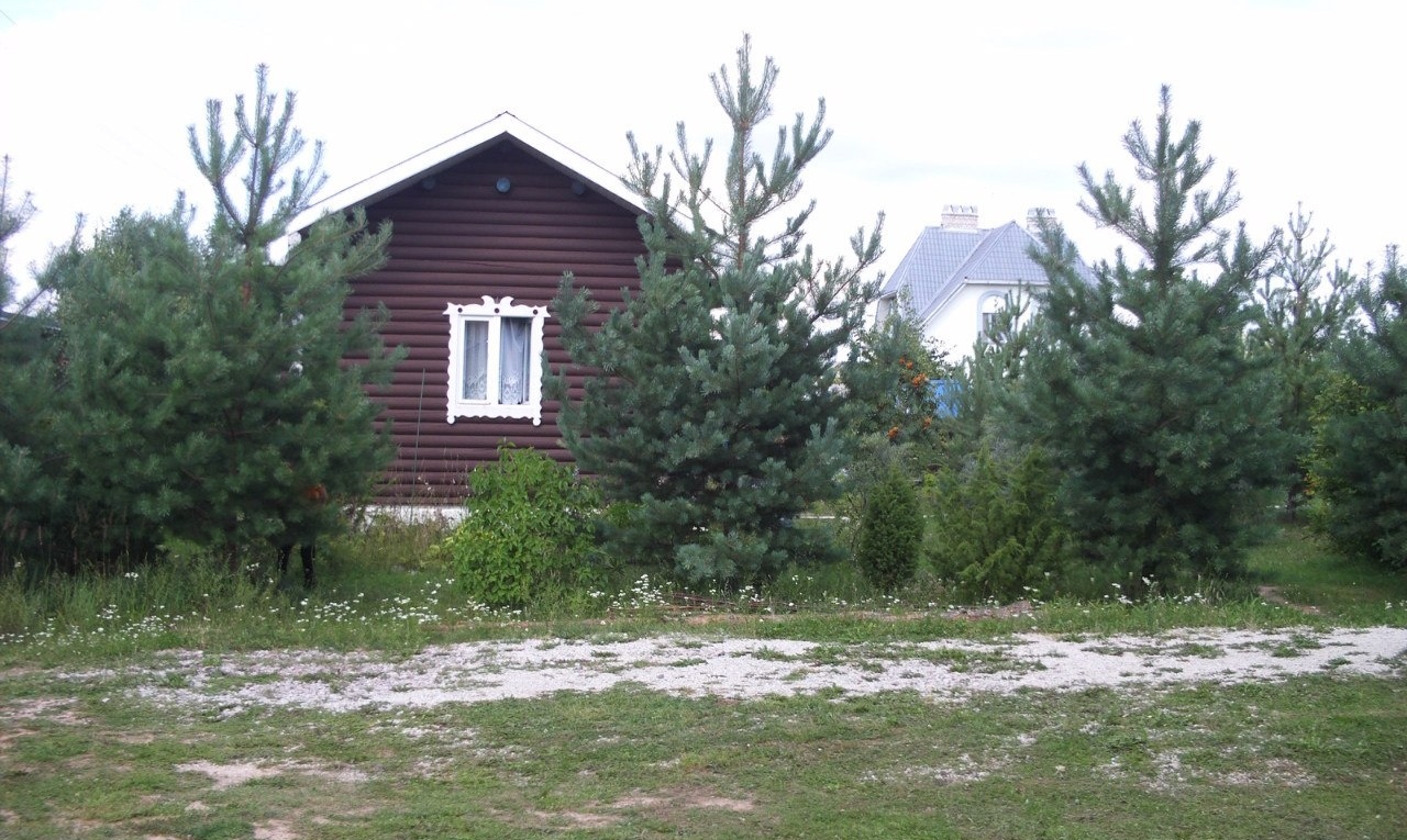 База отдыха «Хуторок Сова» Псковская область, фото 4