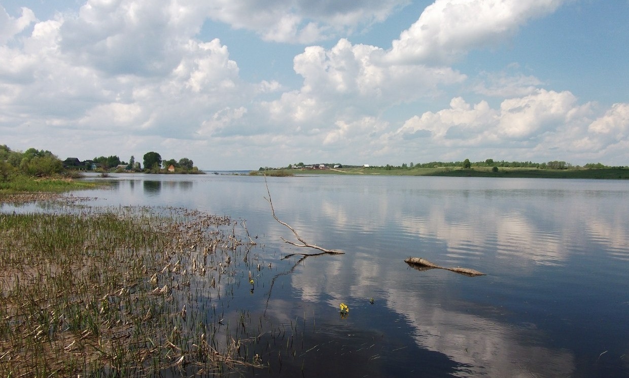 Селище кимрский район фото