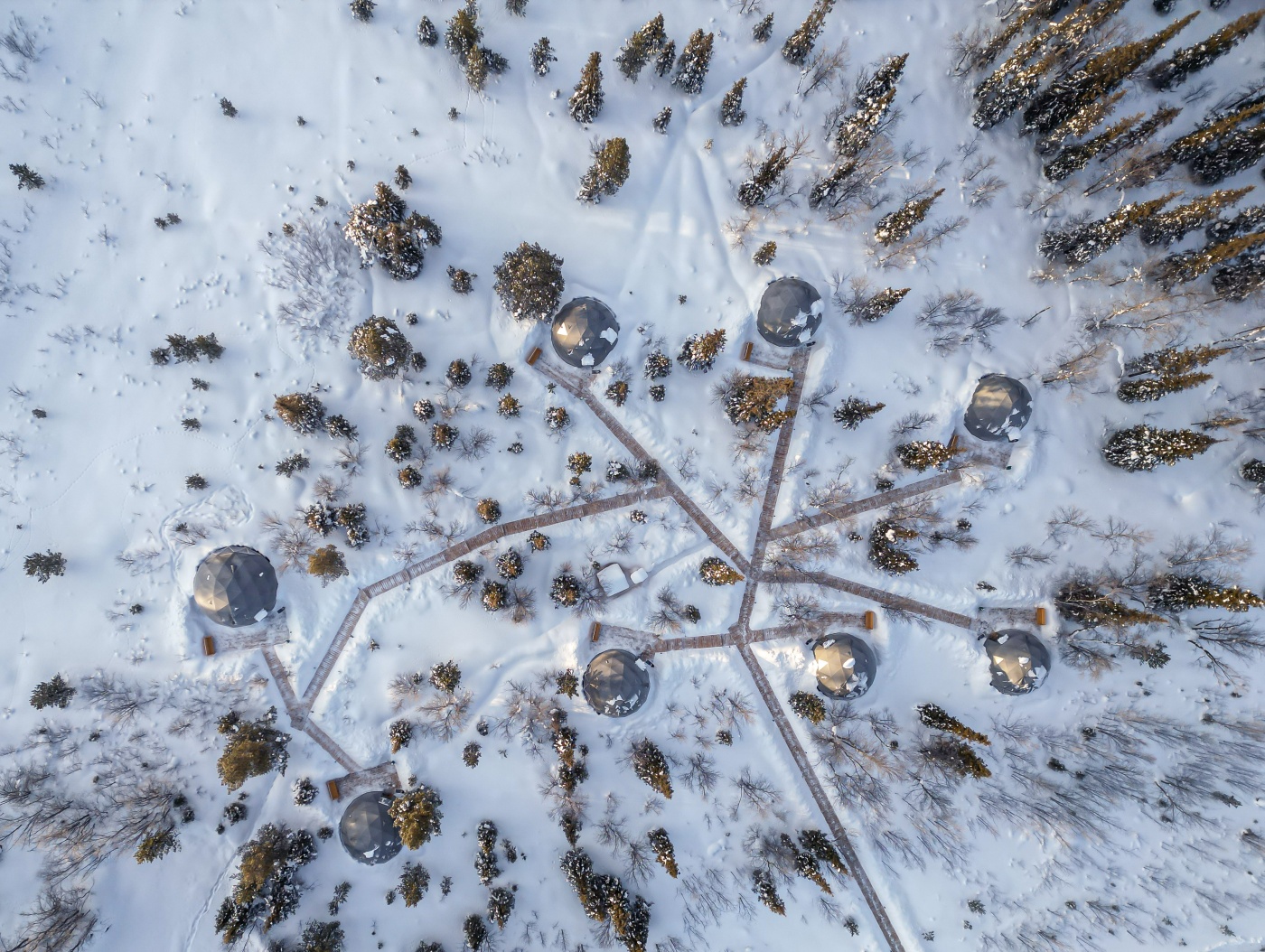 База отдыха «Лапландская деревня» Мурманская область Купольный шатер с панорамными окнами, фото 20