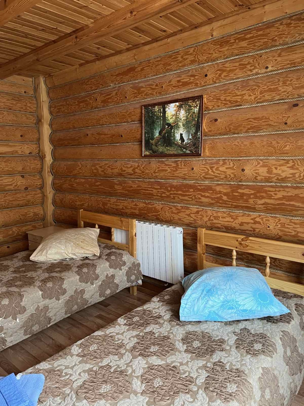 База отдыха «Тимофеевская усадьба» Тверская область Двухместный номер с 2 кроватями, фото 2