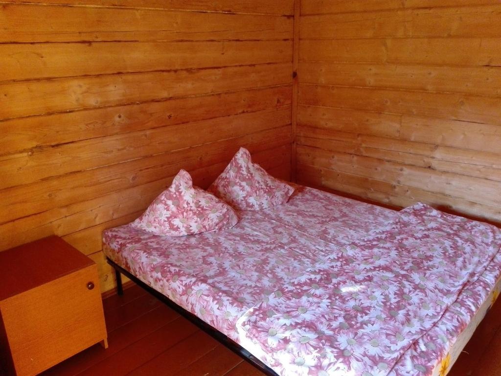 База отдыха «Альбатрос» Республика Алтай Двухместный номер с одной кроватью, фото 1