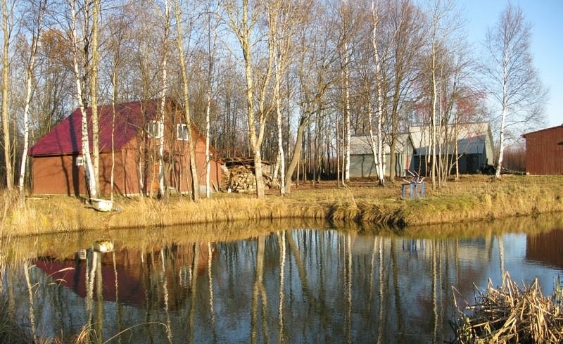 База отдыха «Белкина Грива» Костромская область, фото 4