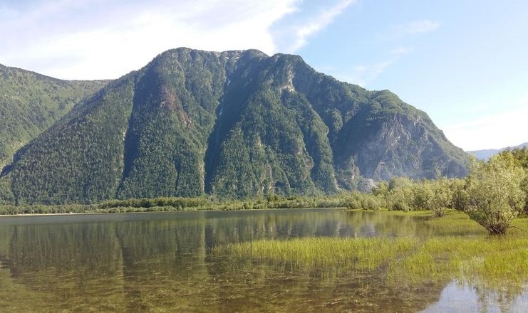  «Сайкол Глэмпинг Камаин» глэмпинг Республика Алтай, фото 9