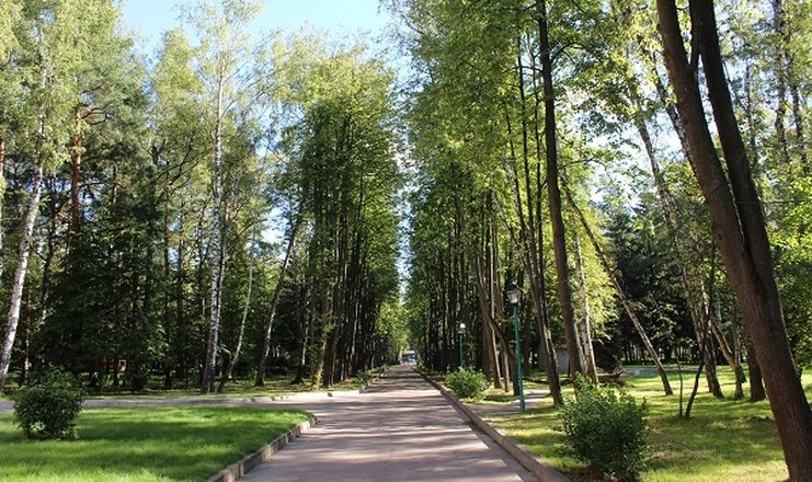 «Елочки» санаторий Московская область, фото 8