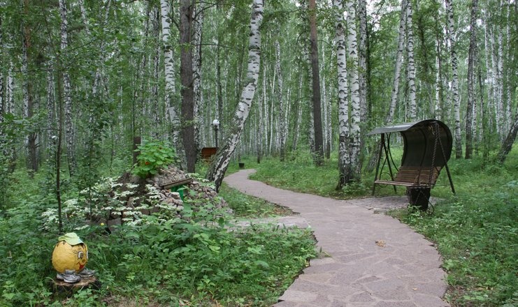  «Березовая роща» санаторий Тюменская область, фото 14