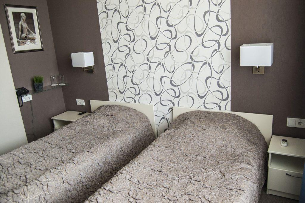  Санаторно-гостиничный комплекс "Изумруд" Саратовская область Стандарт с двумя раздельными кроватями, фото 2