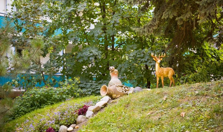  Санаторий "Эльбрус" Ставропольский край, фото 5