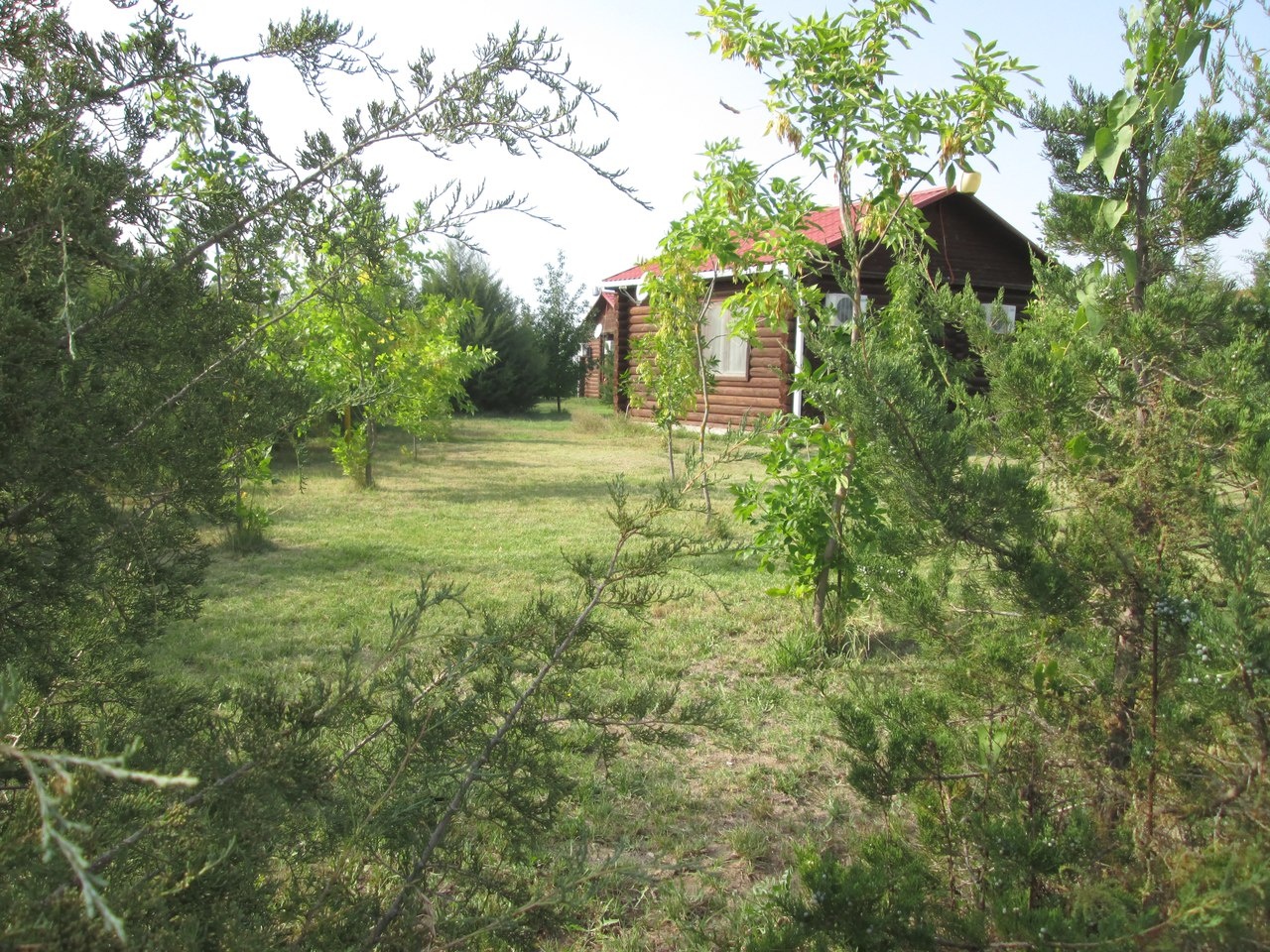 База отдыха «Рыбалкино» Астраханская область, фото 5
