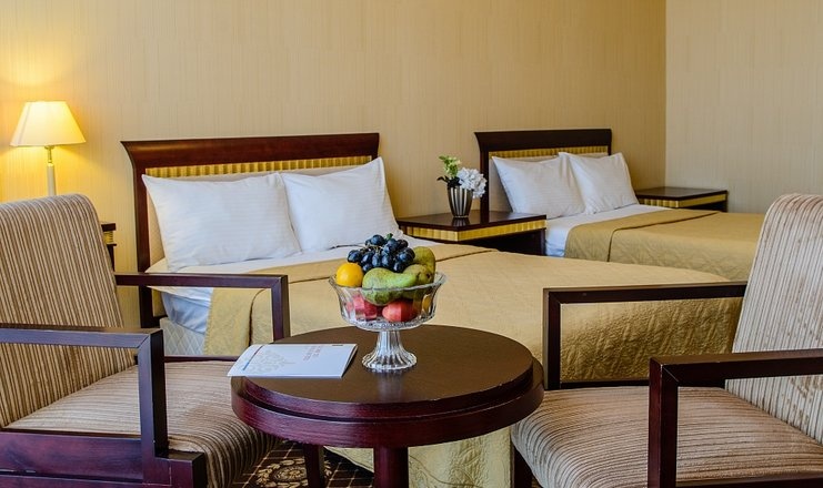  «SK Royal Hotel Kaluga» / «СК Роял Калуга» отель Калужская область Стандартный 2-местный TWIN, фото 4