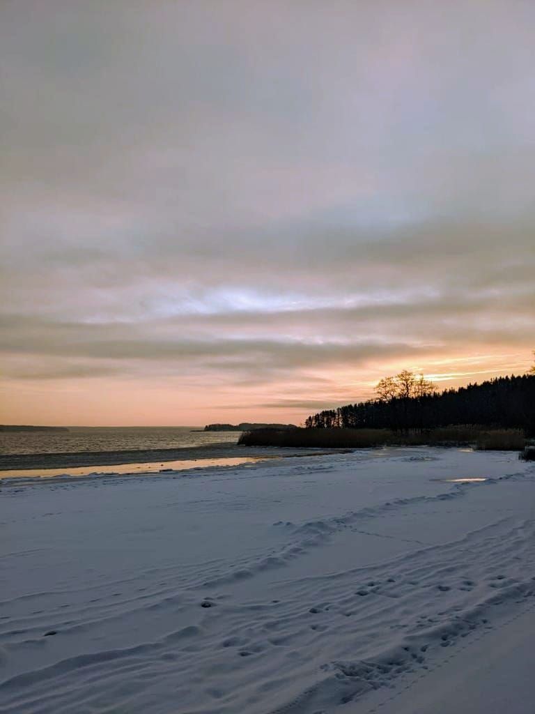 База отдыха «Море» Ленинградская область,
фото
отзыв 2