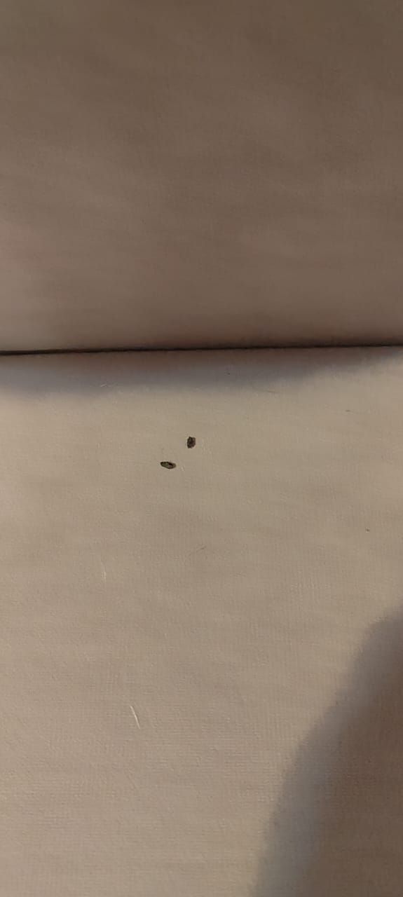 Recreation center «Tihiy bereg» The Republic Of Altai,
 фото
 отзыв 3