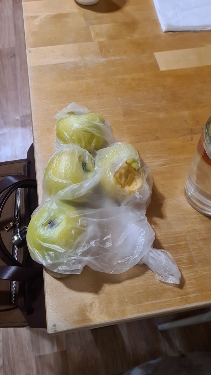 Recreation center «Tihiy bereg» The Republic Of Altai,
 фото
 отзыв 4