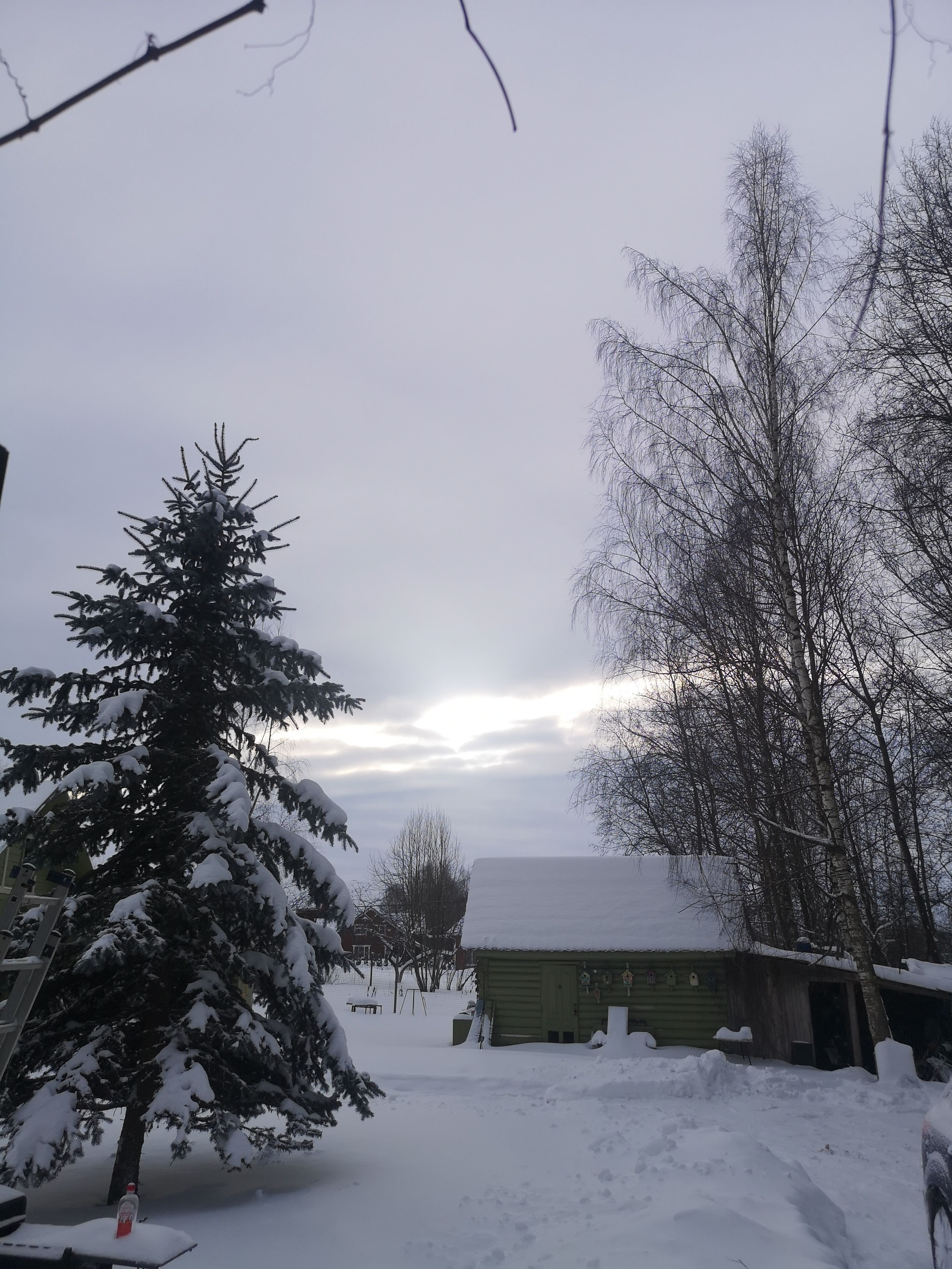 База отдыха «Берёзовый Мостик» Московская область,
 фото
 отзыв 2