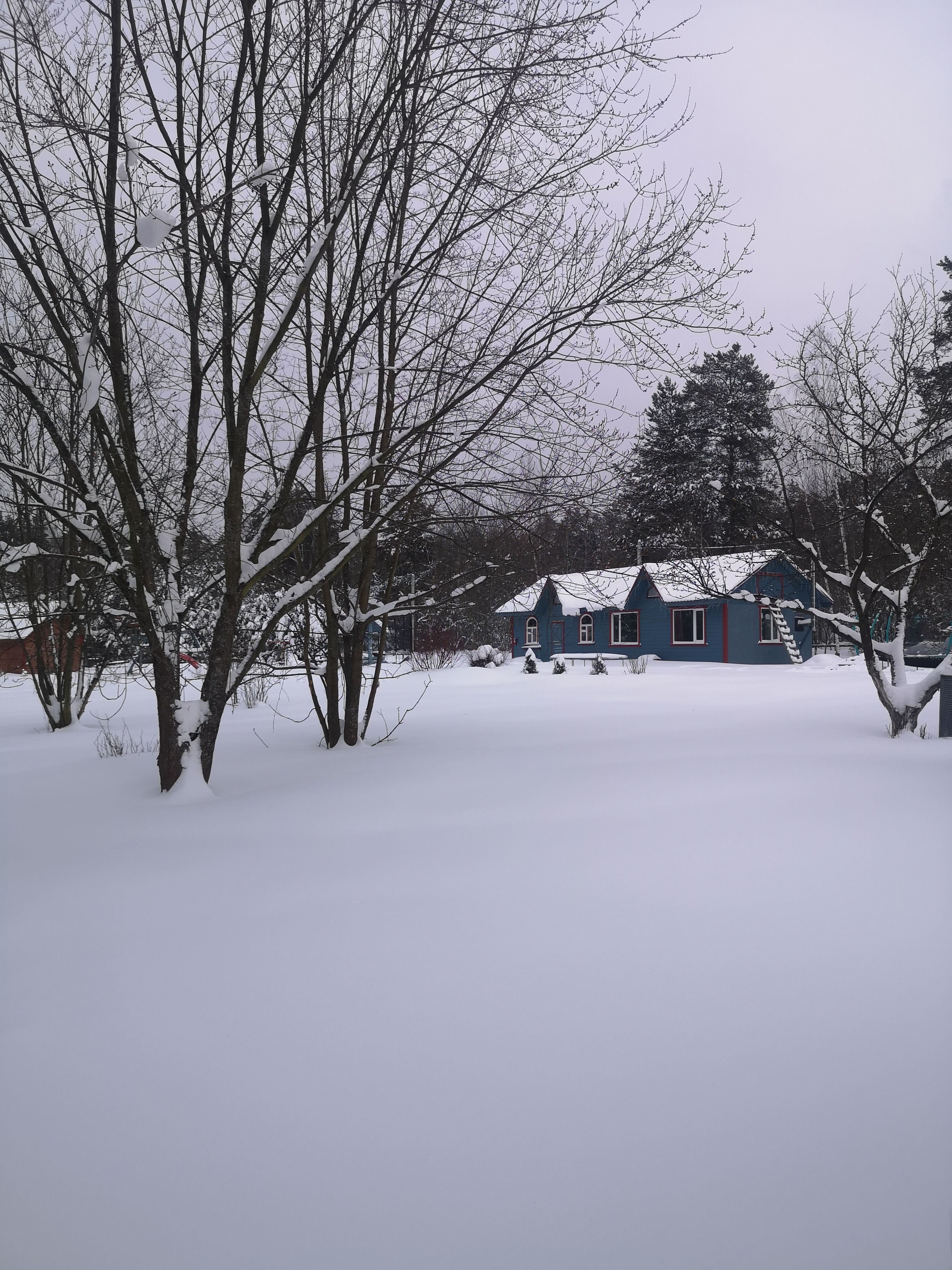 База отдыха «Берёзовый Мостик» Московская область,
 фото
 отзыв 3