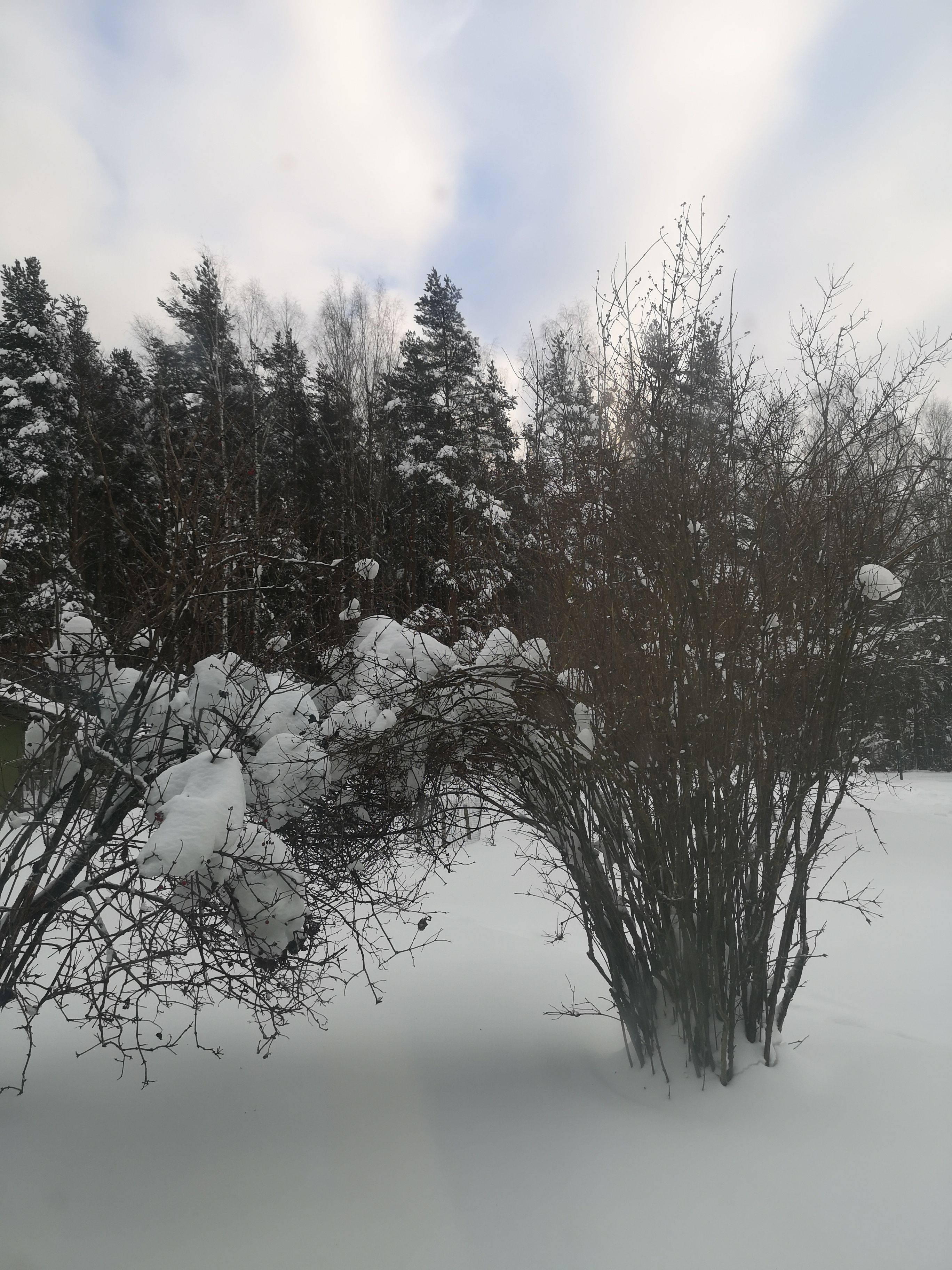 База отдыха «Берёзовый Мостик» Московская область,
 фото
 отзыв 4