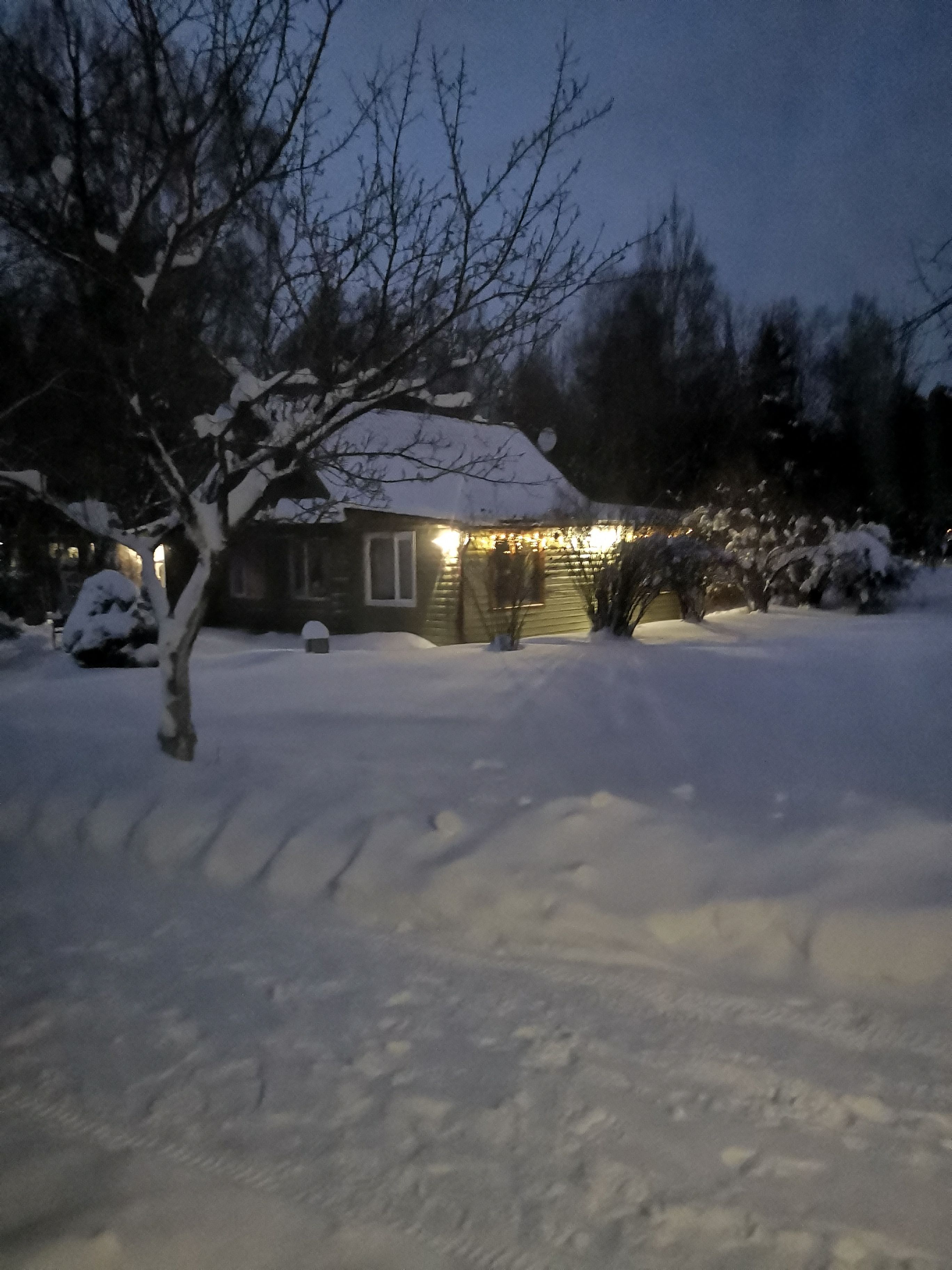 База отдыха «Берёзовый Мостик» Московская область,
 фото
 отзыв 7