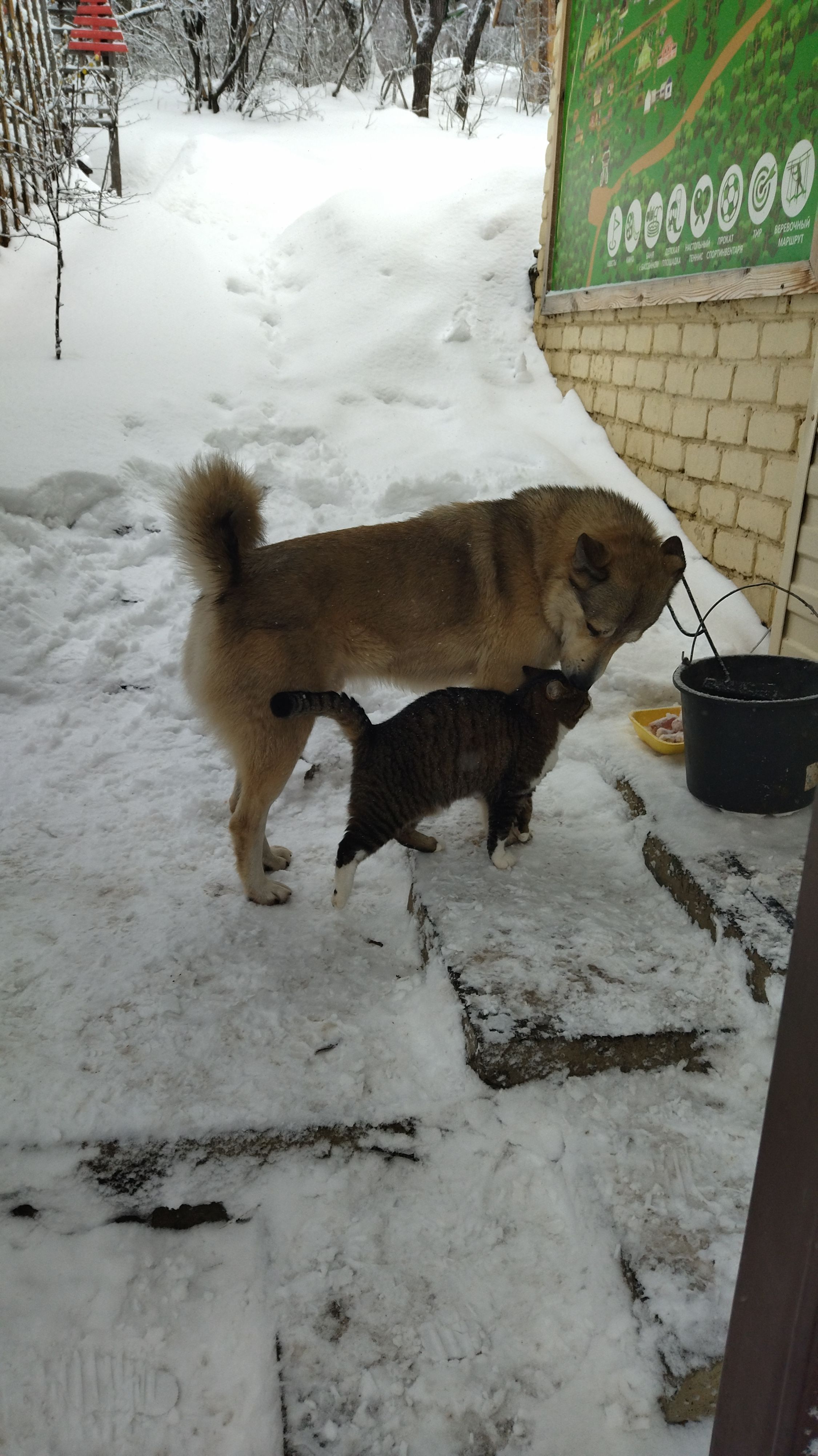 Усадьба «Сказка» Саратовская область,
 фото
 отзыв 2