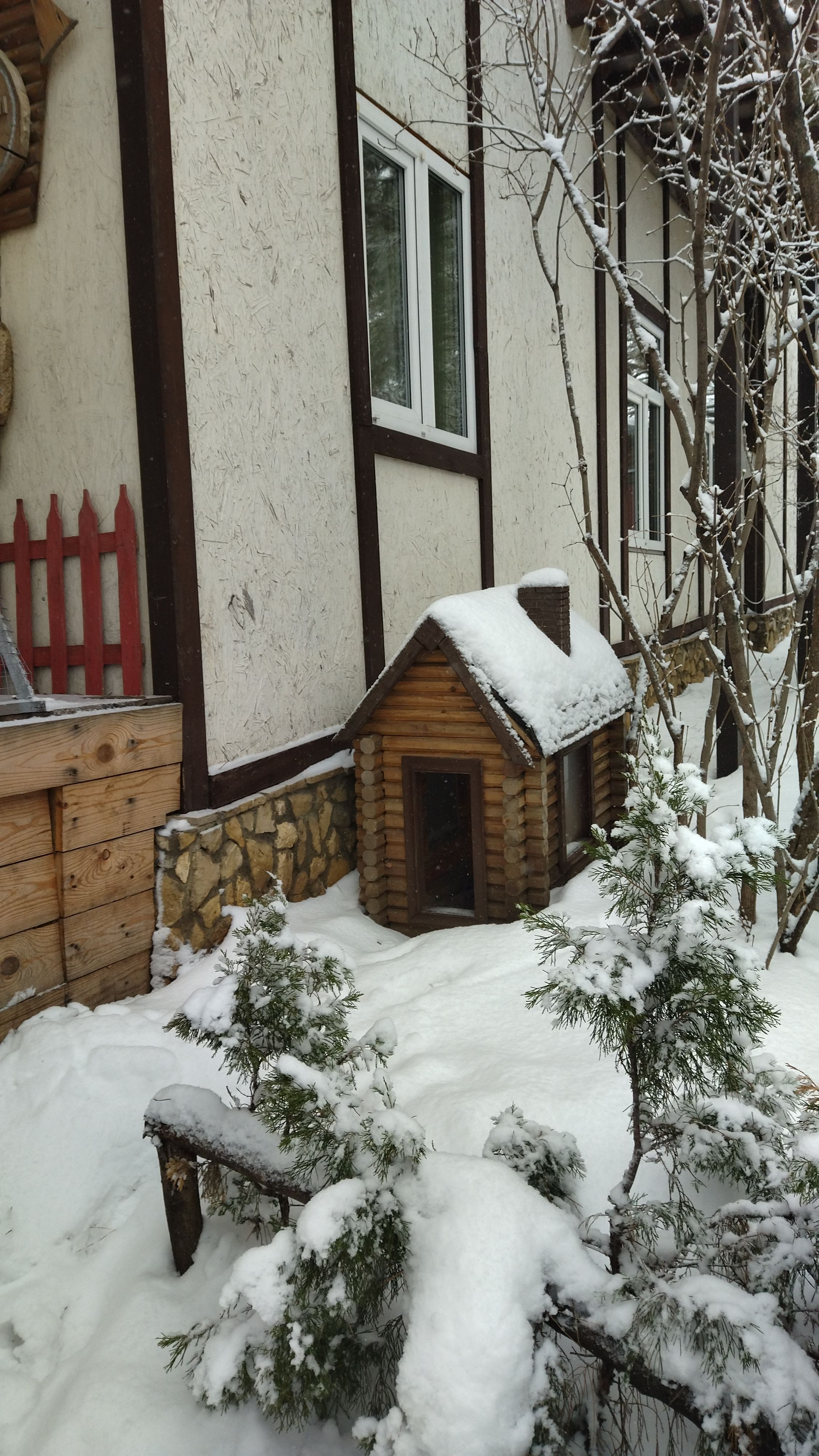 Усадьба «Сказка» Саратовская область,
 фото
 отзыв 4