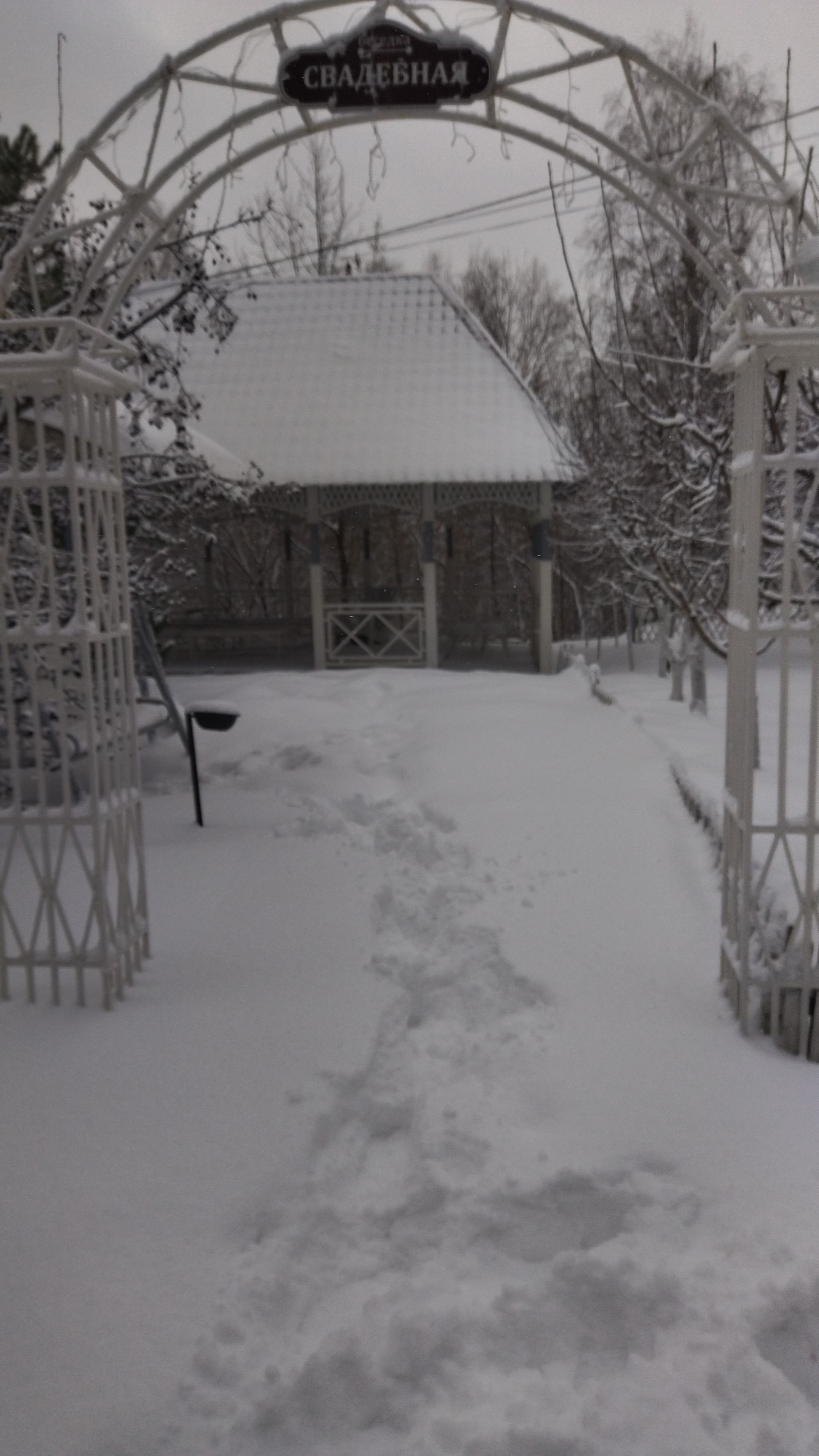 Усадьба «Сказка» Саратовская область,
 фото
 отзыв 7