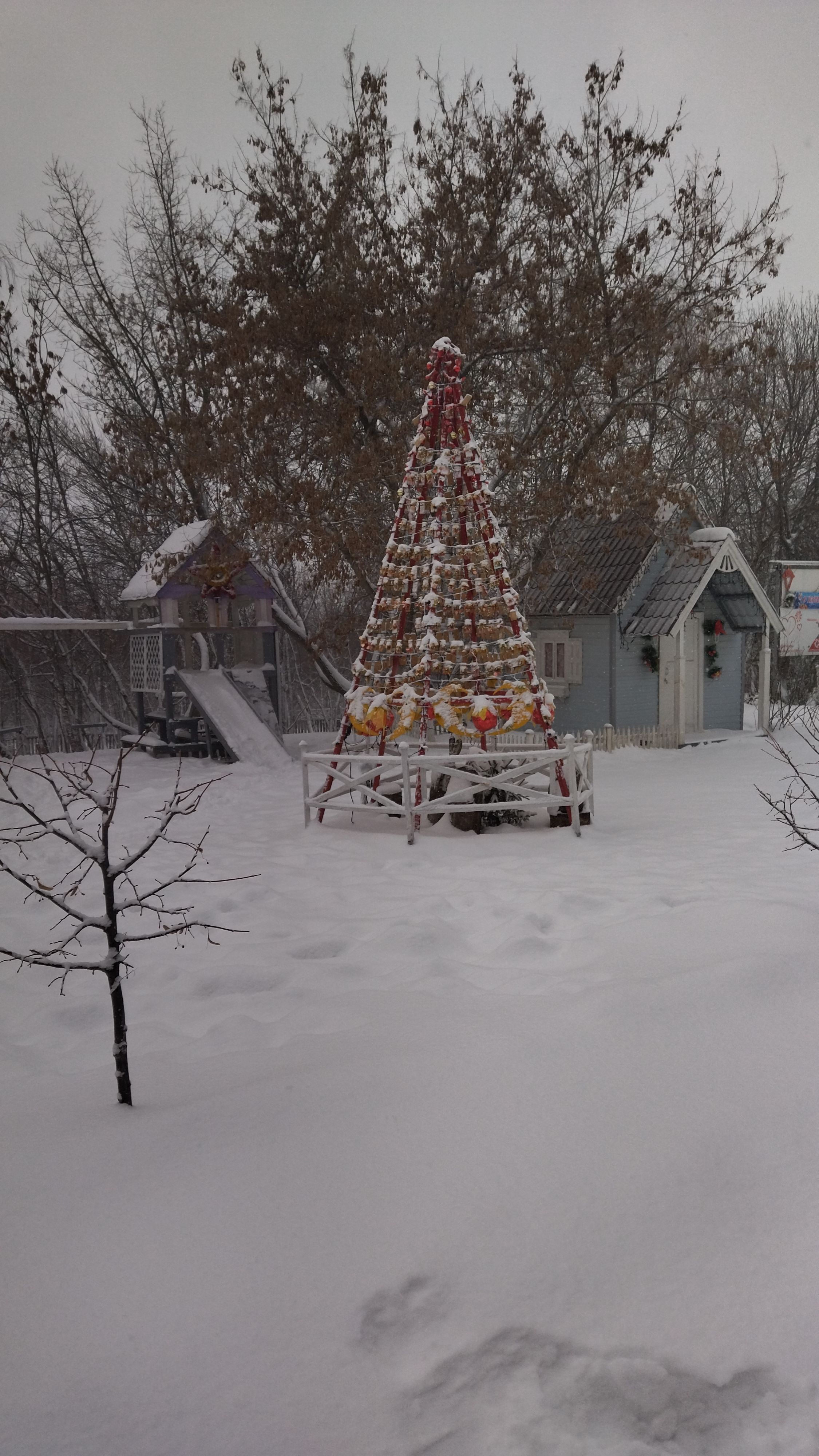 Усадьба «Сказка» Саратовская область,
 фото
 отзыв 8