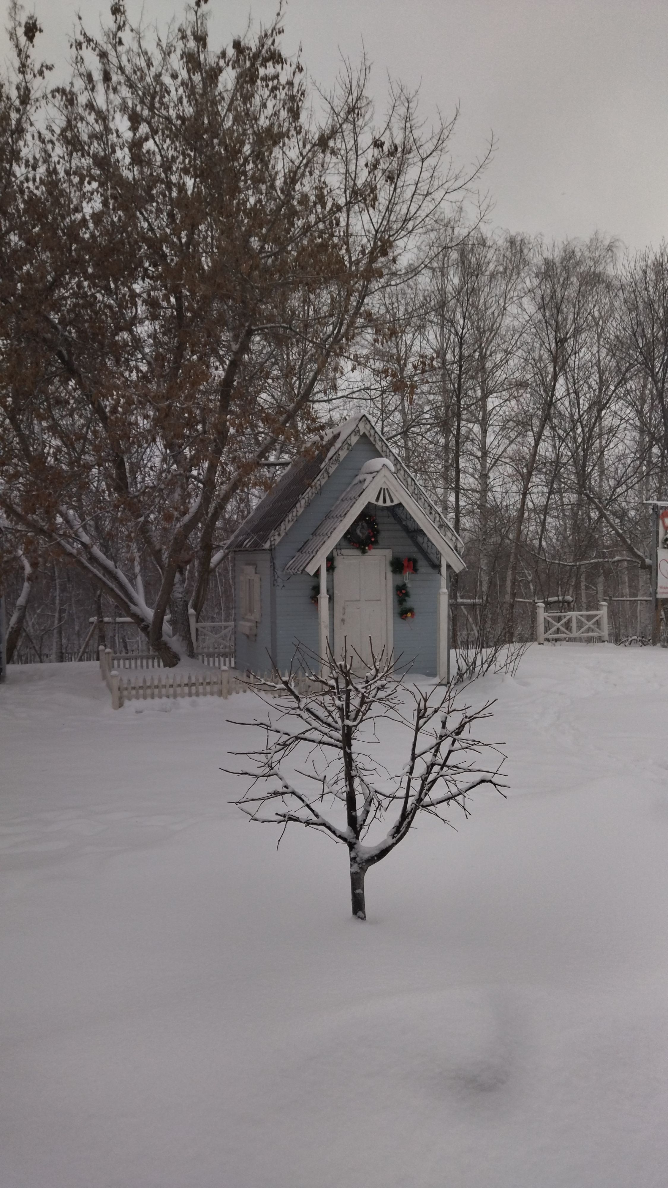 Усадьба «Сказка» Саратовская область,
 фото
 отзыв 9