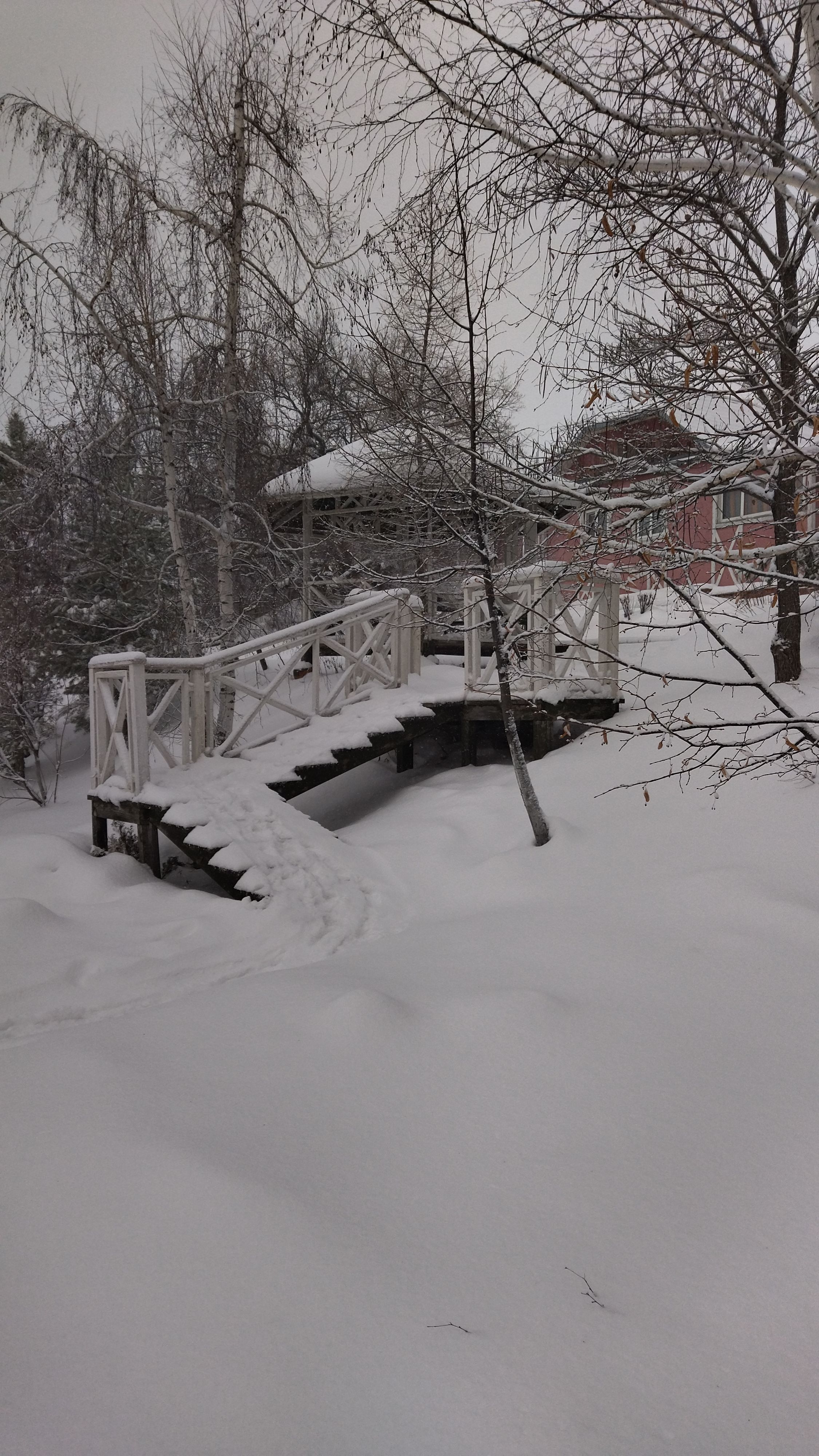 Усадьба «Сказка» Саратовская область,
 фото
 отзыв 10