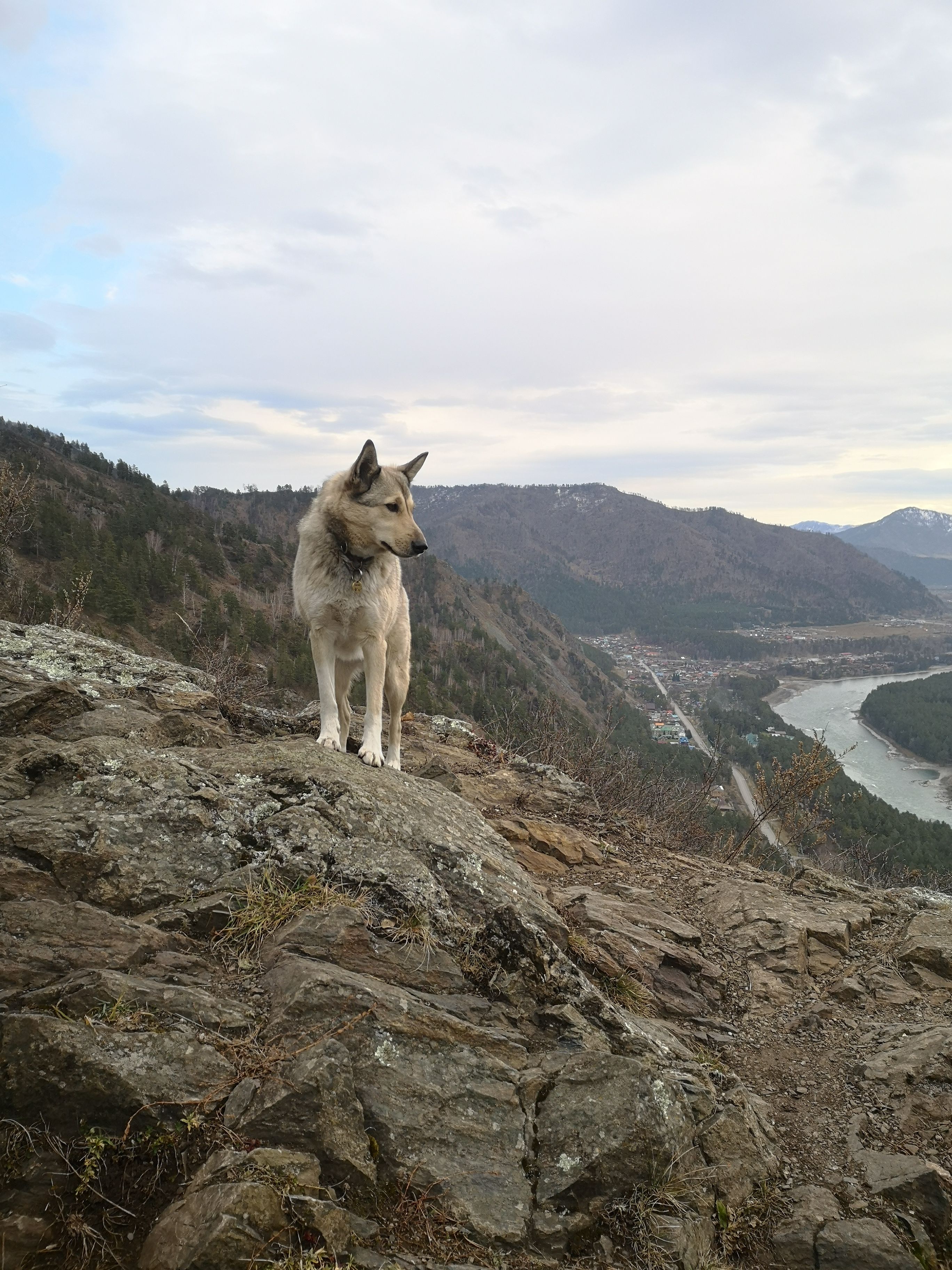 Турбаза «Приют Романтиков» Республика Алтай,
 фото
 отзыв 3
