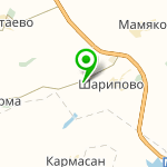 "Зеркальный карп"